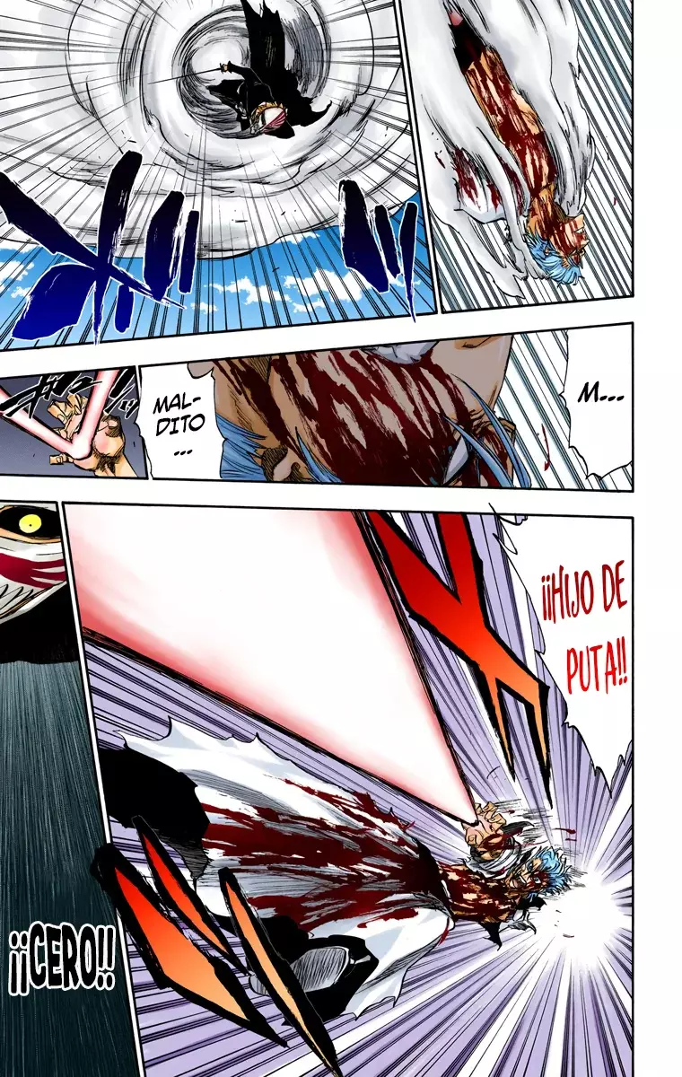 Bleach (Color) capítulo 232, página 16