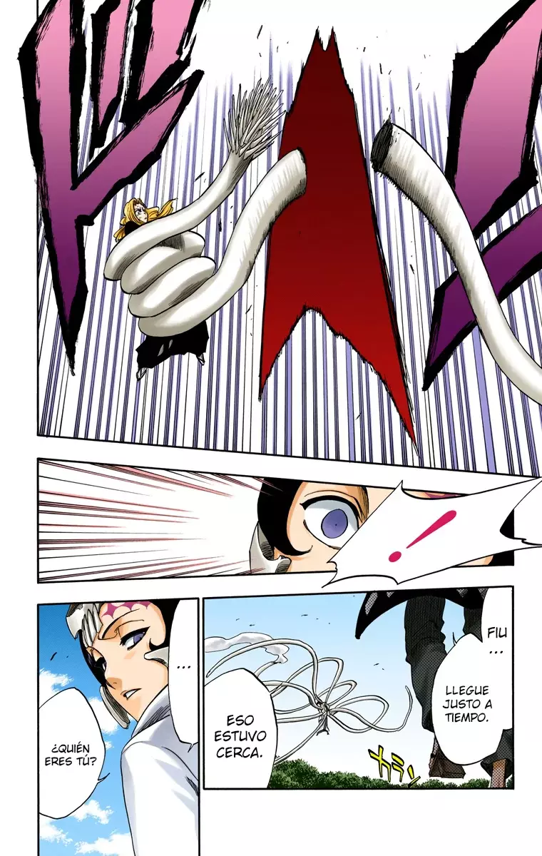 Bleach (Color) capítulo 233, página 13