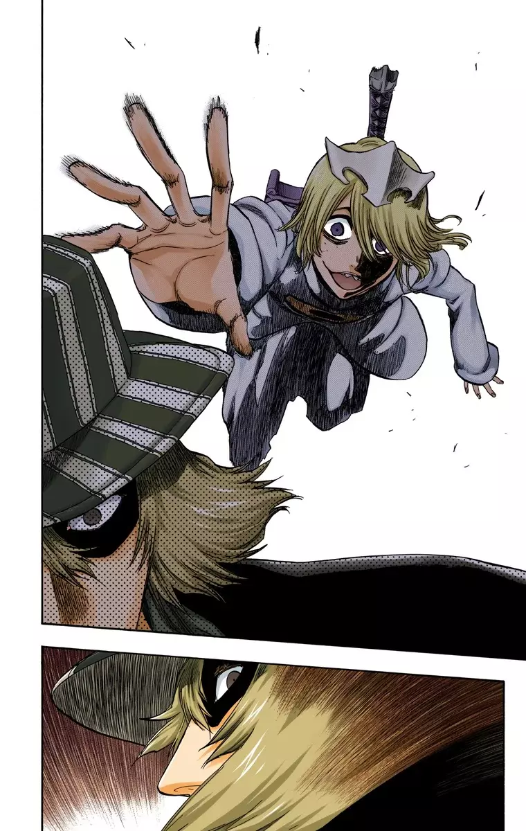 Bleach (Color) capítulo 233, página 15