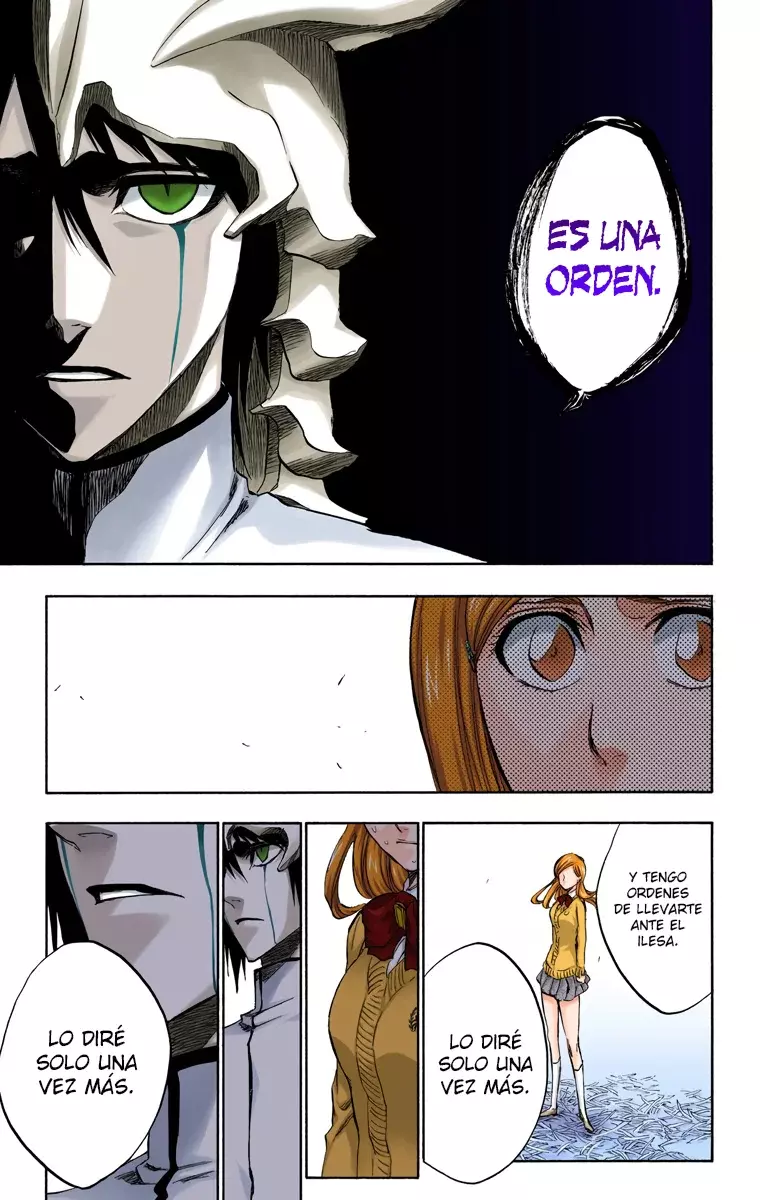 Bleach (Color) capítulo 234, página 14