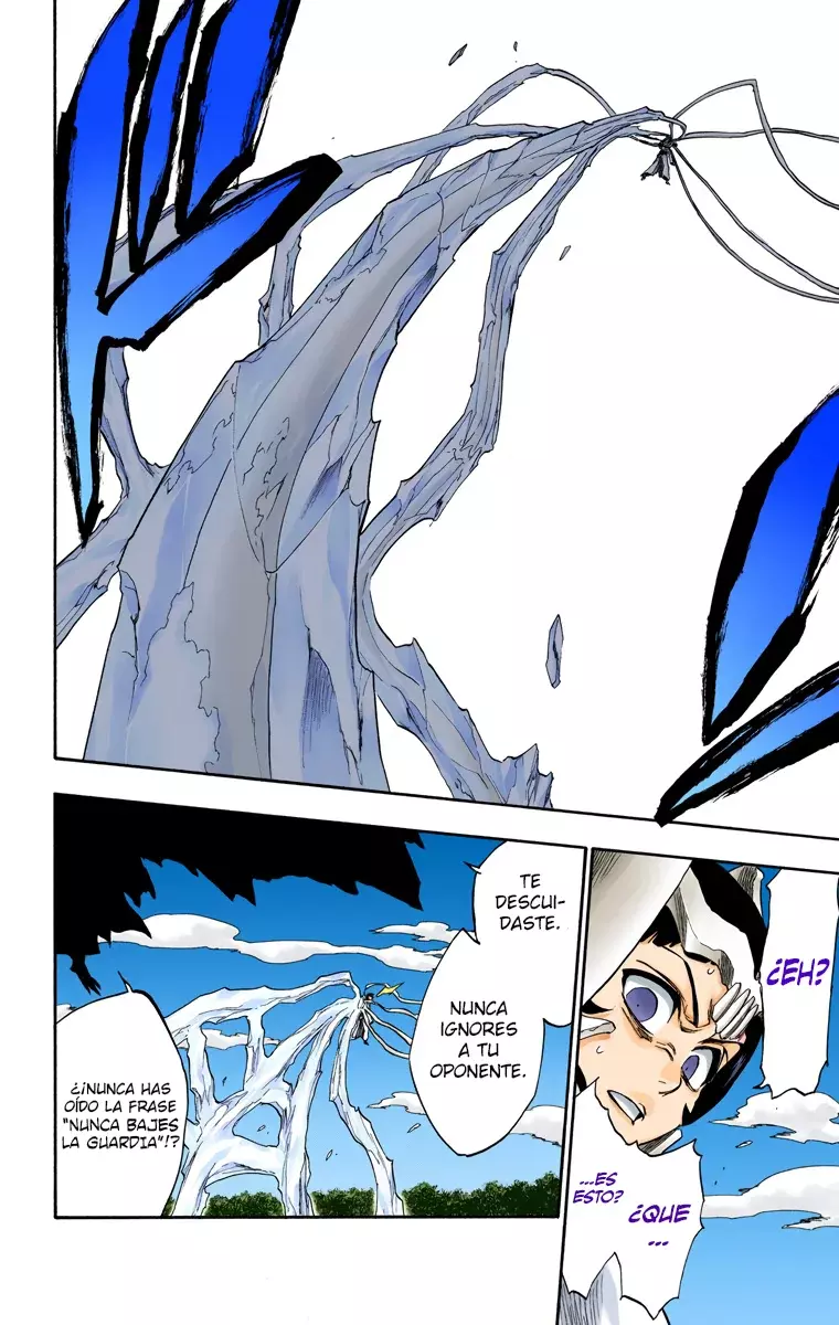 Bleach (Color) capítulo 234, página 21