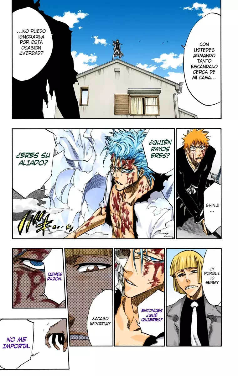 Bleach (Color) capítulo 236, página 6