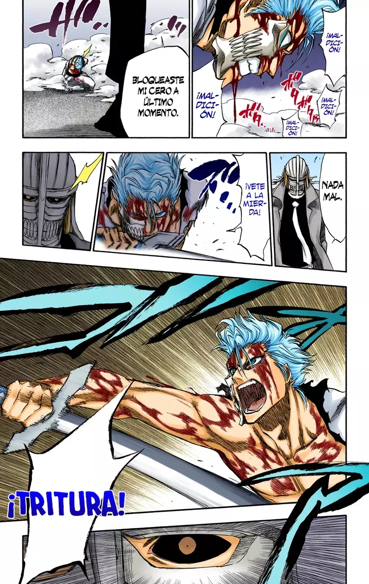 Bleach (Color) capítulo 236, página 14