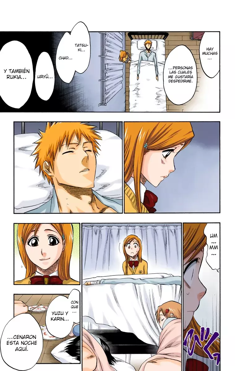 Bleach (Color) capítulo 237, página 14