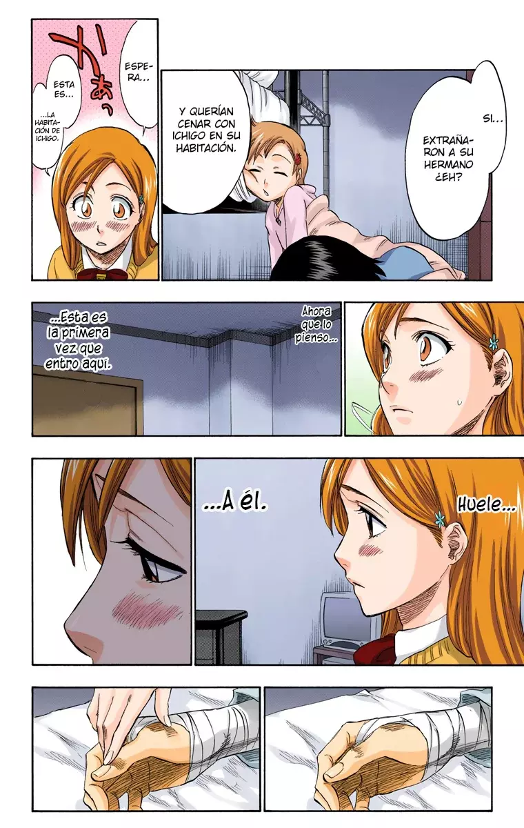 Bleach (Color) capítulo 237, página 15