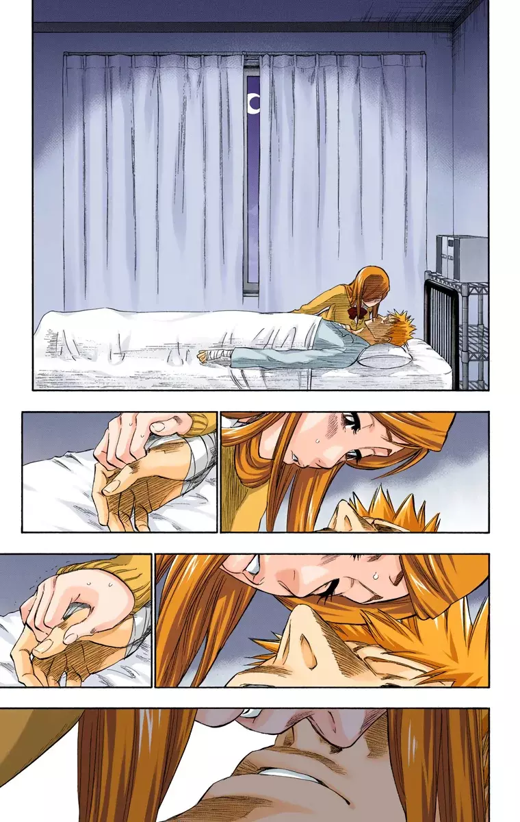 Bleach (Color) capítulo 237, página 16