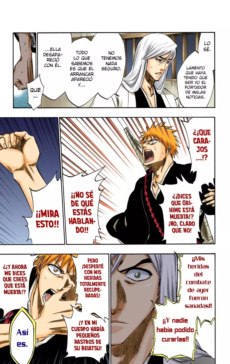 Bleach (Color) capítulo 238, página 10