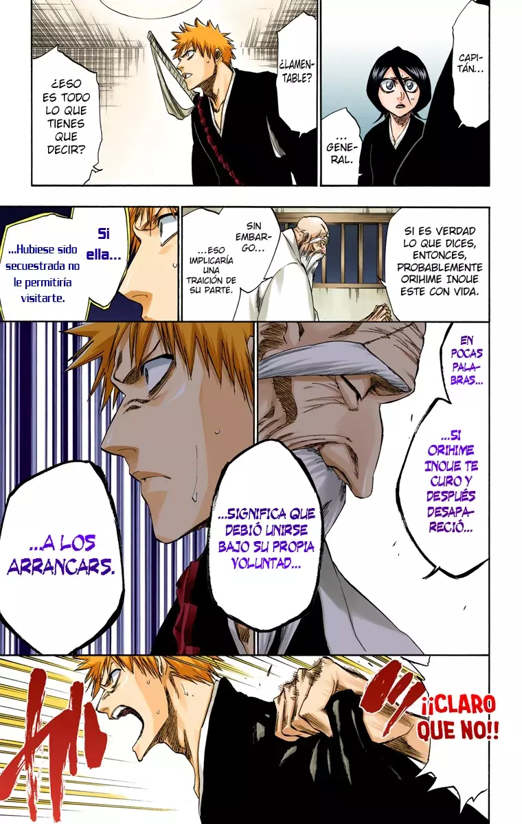 Bleach (Color) capítulo 238, página 12