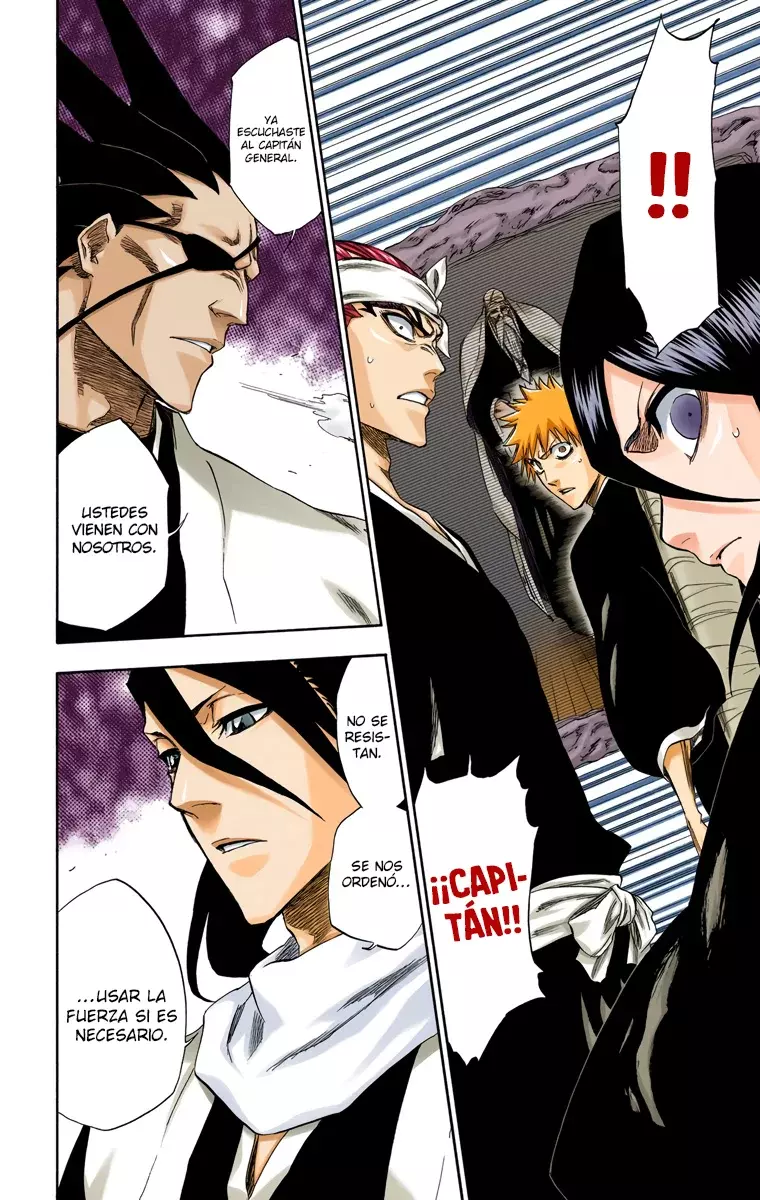 Bleach (Color) capítulo 238, página 16