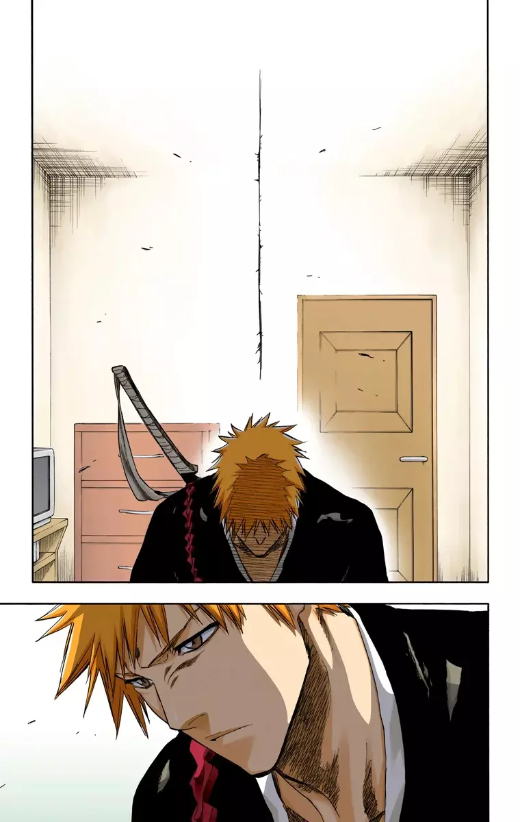 Bleach (Color) capítulo 238, página 19