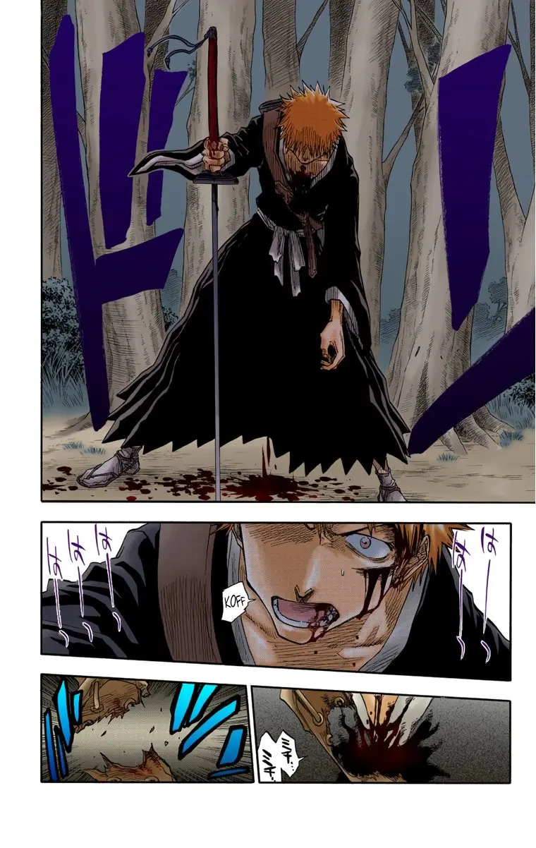 Bleach (Color) capítulo 24, página 9