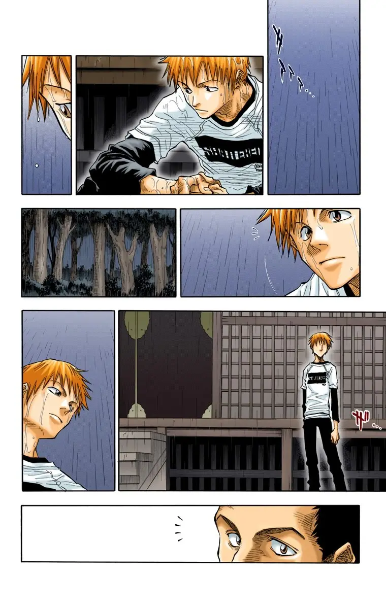 Bleach (Color) capítulo 24, página 15