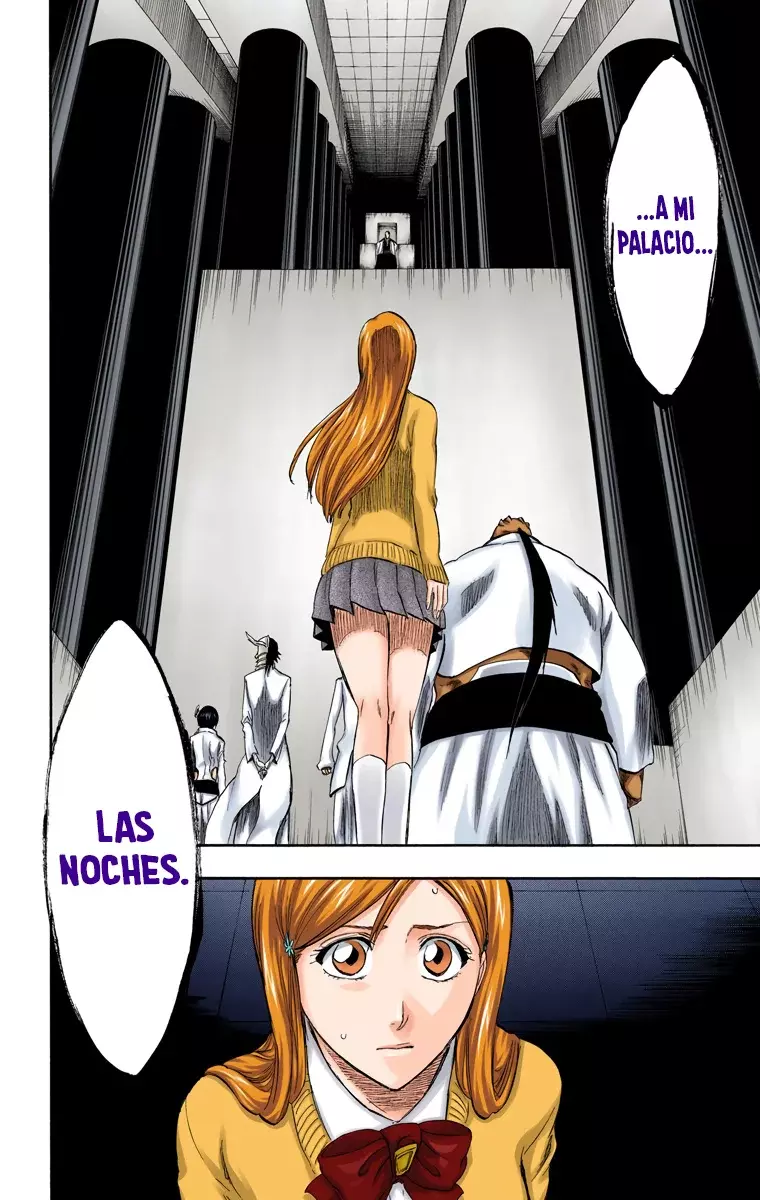 Bleach (Color) capítulo 240, página 9