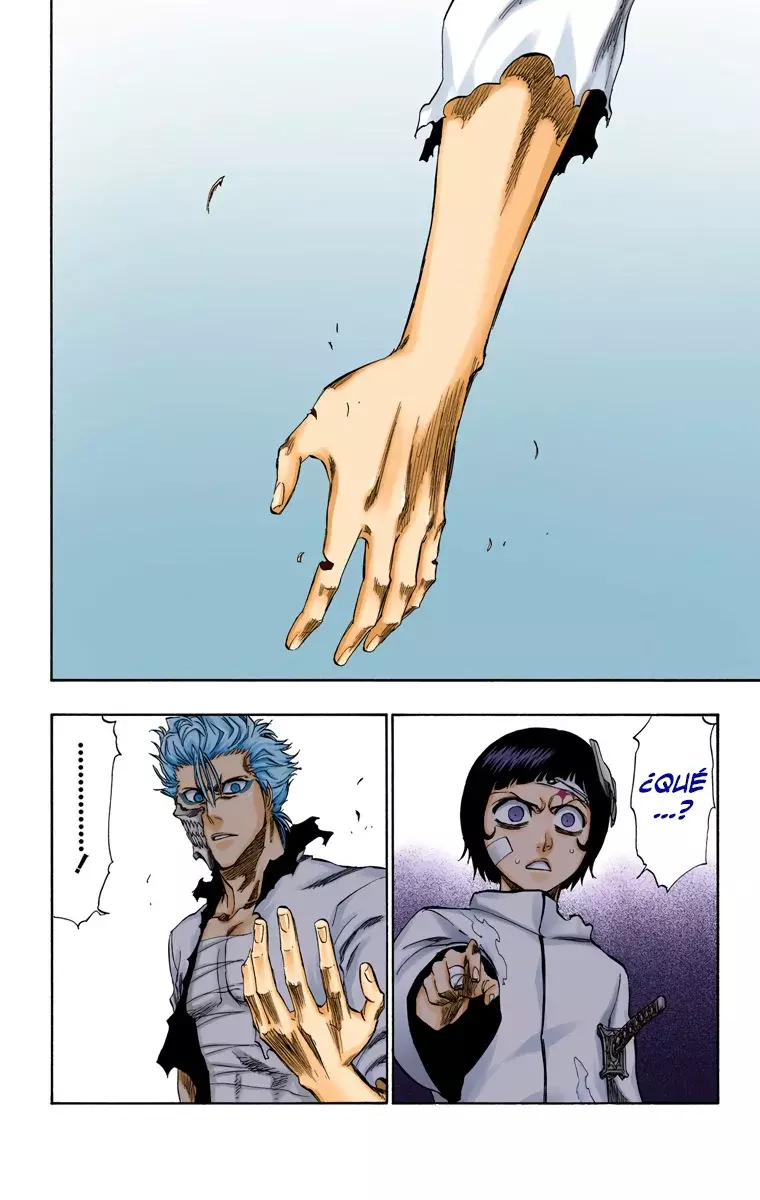 Bleach (Color) capítulo 240, página 13