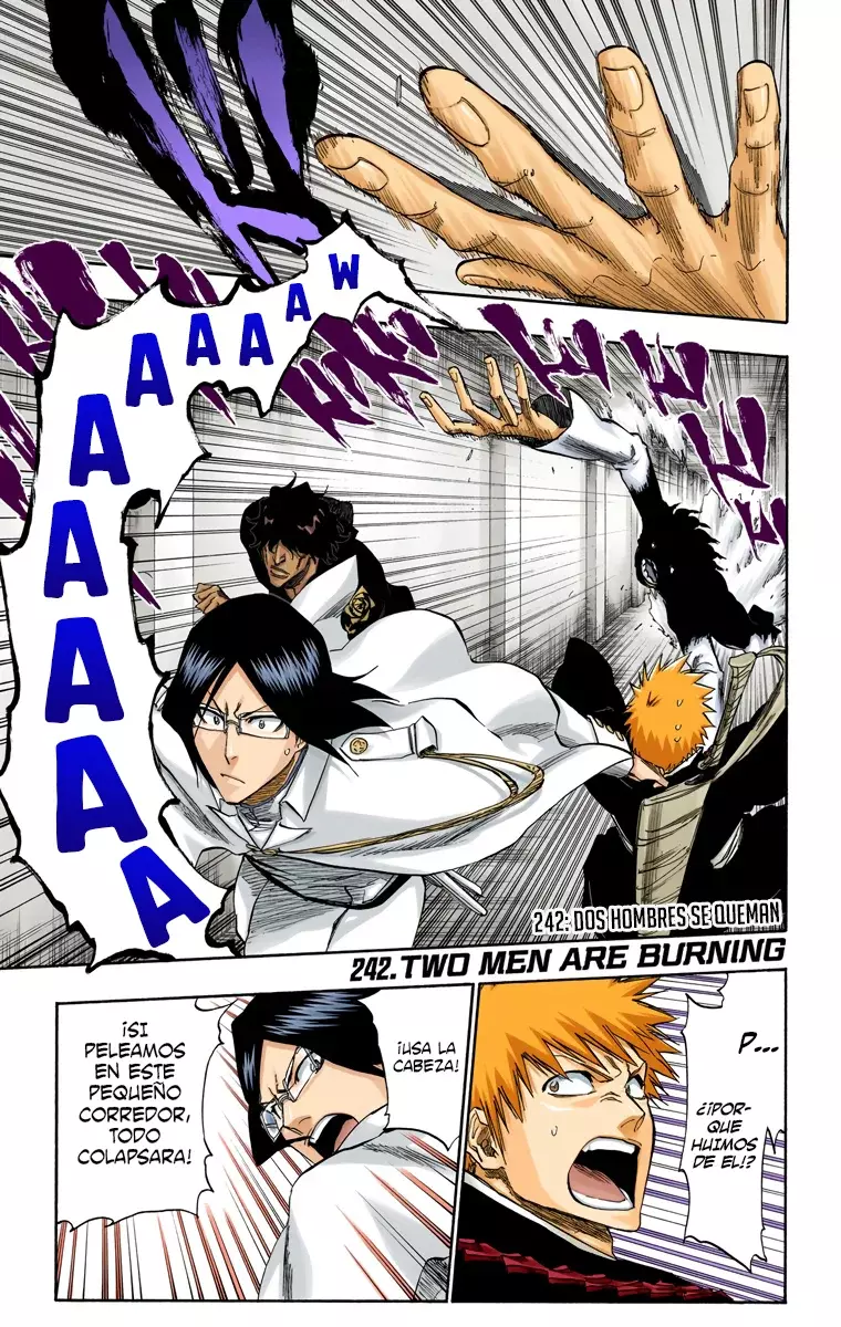 Bleach (Color) capítulo 242, página 2