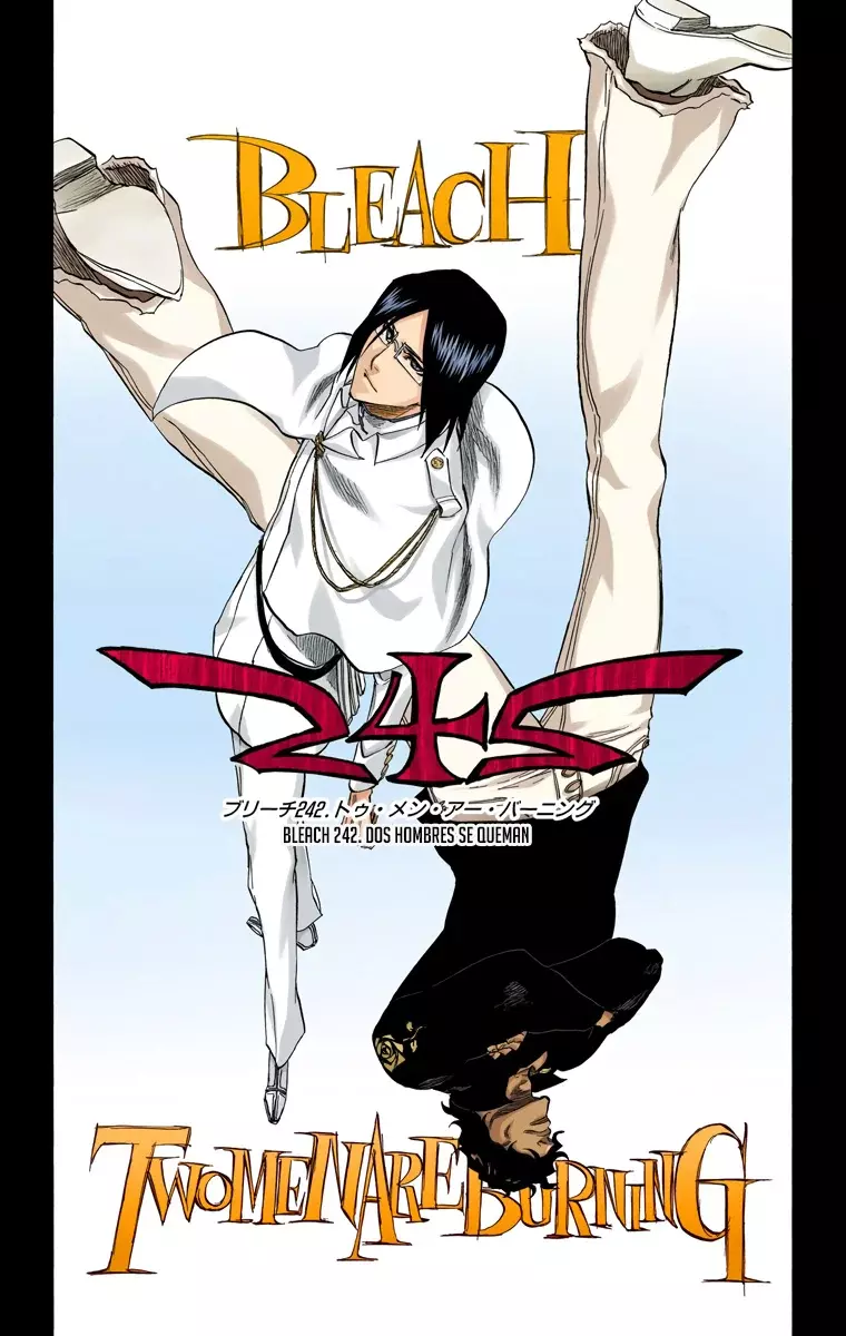 Bleach (Color) capítulo 242, página 7