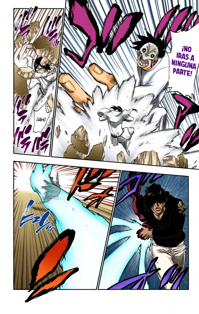 Bleach (Color) capítulo 242, página 13