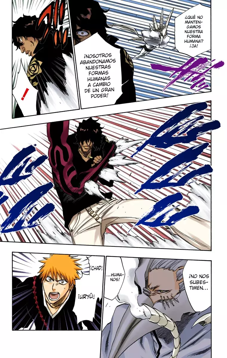 Bleach (Color) capítulo 242, página 14