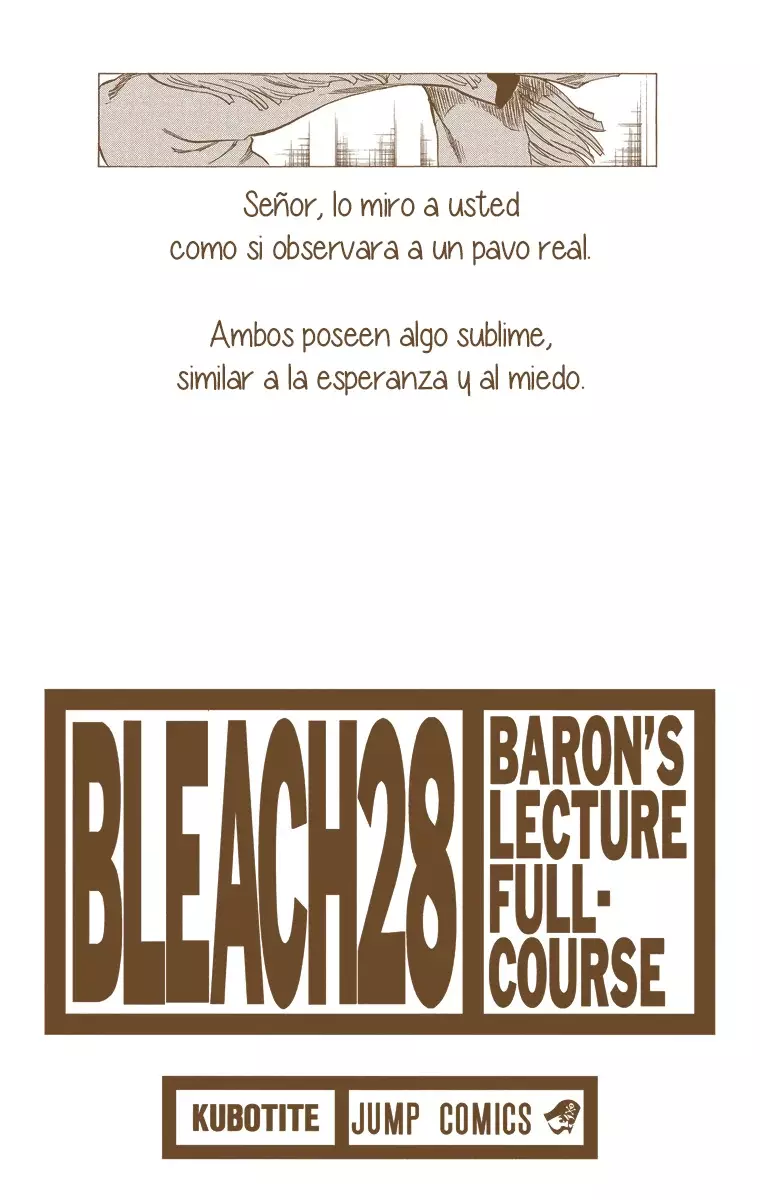 Bleach (Color) capítulo 243, página 3