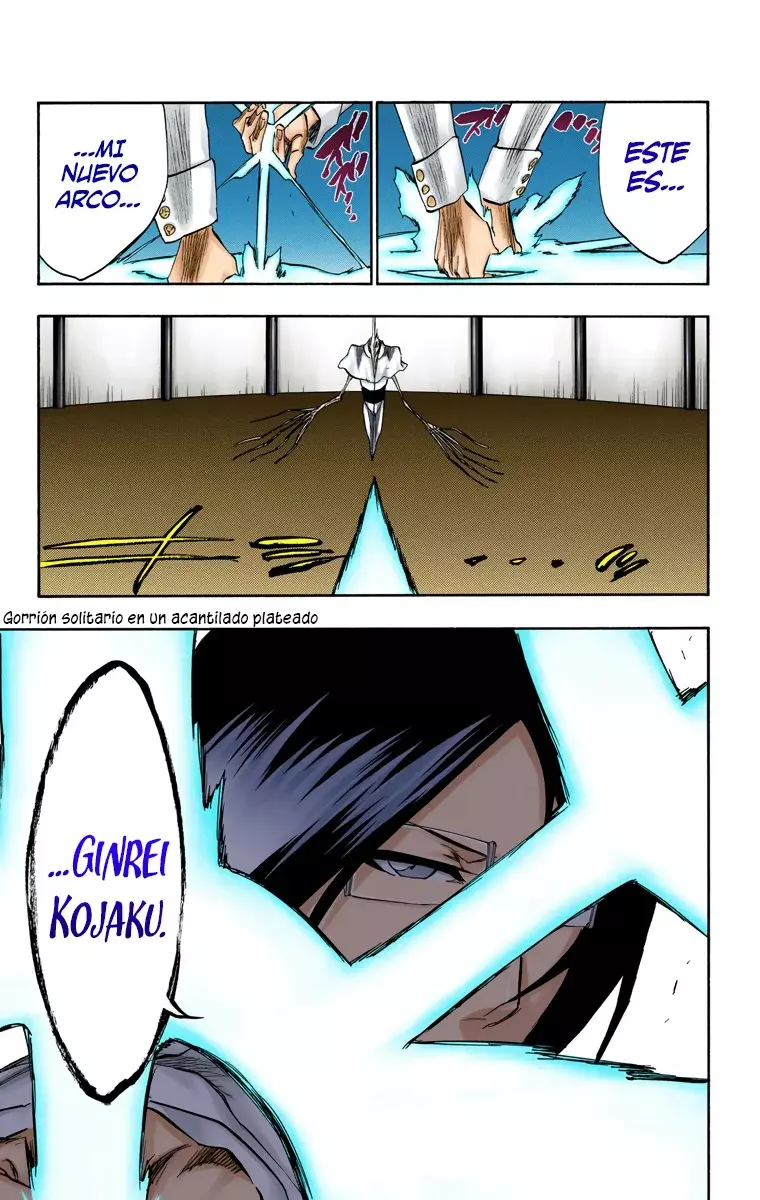 Bleach (Color) capítulo 243, página 8