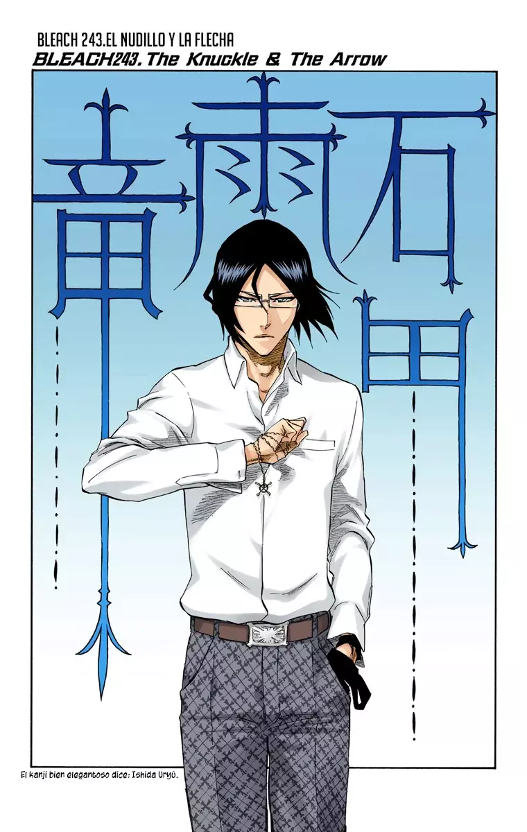 Bleach (Color) capítulo 243, página 10