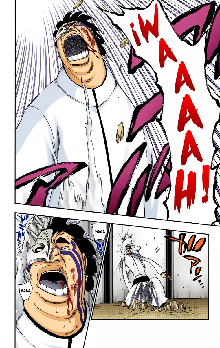 Bleach (Color) capítulo 243, página 11