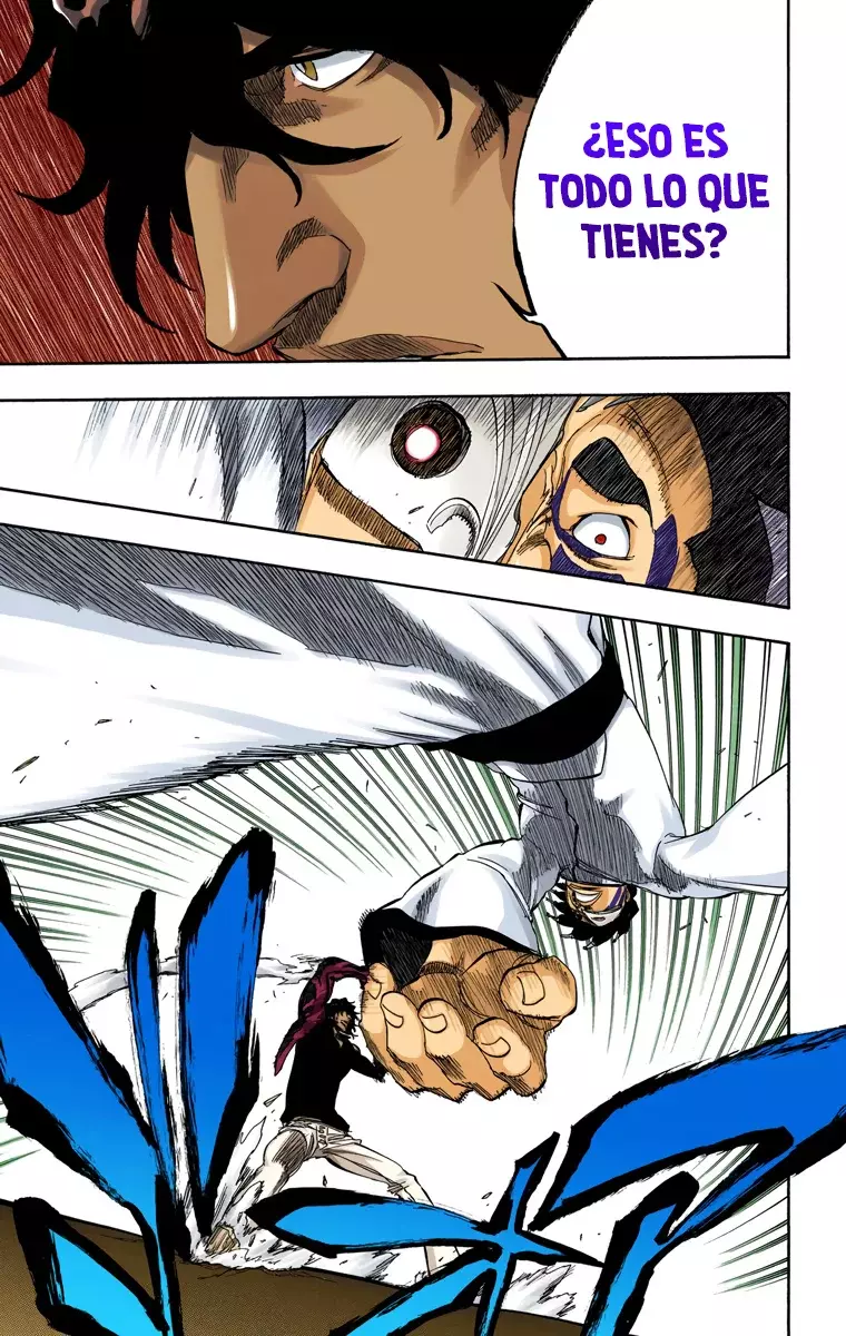 Bleach (Color) capítulo 243, página 14