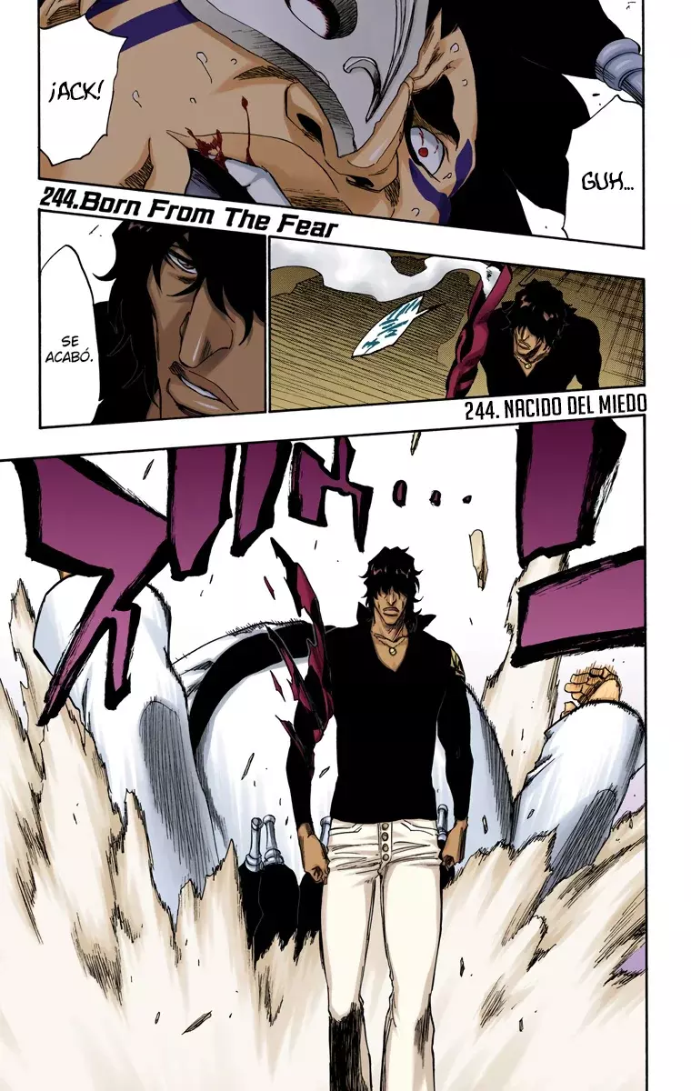Bleach (Color) capítulo 244, página 2