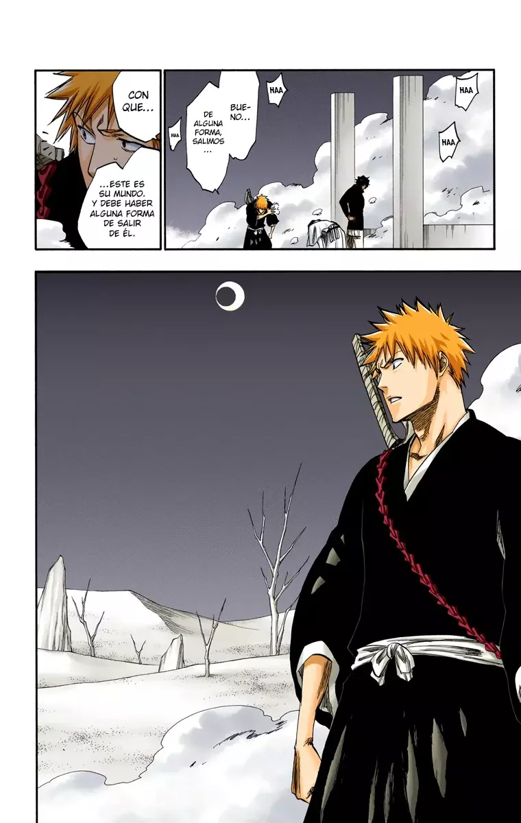 Bleach (Color) capítulo 244, página 9