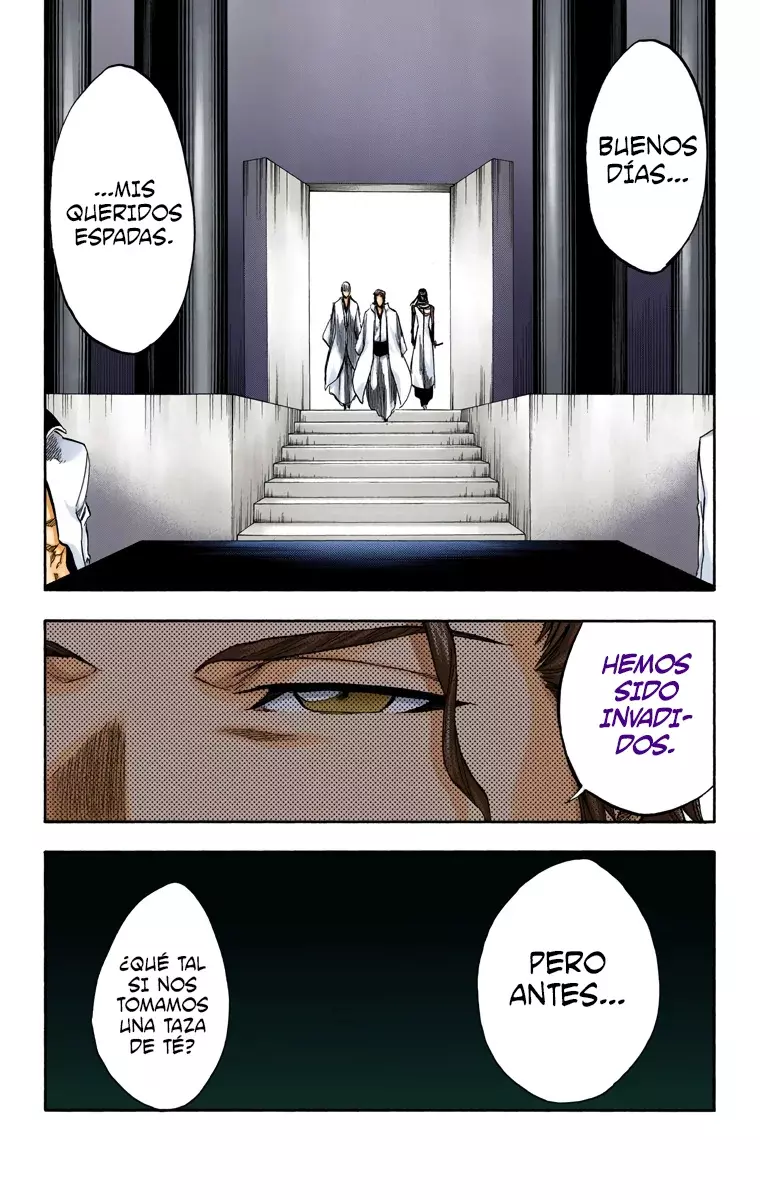 Bleach (Color) capítulo 244, página 18