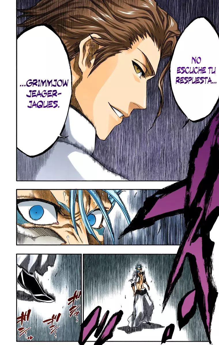 Bleach (Color) capítulo 245, página 10