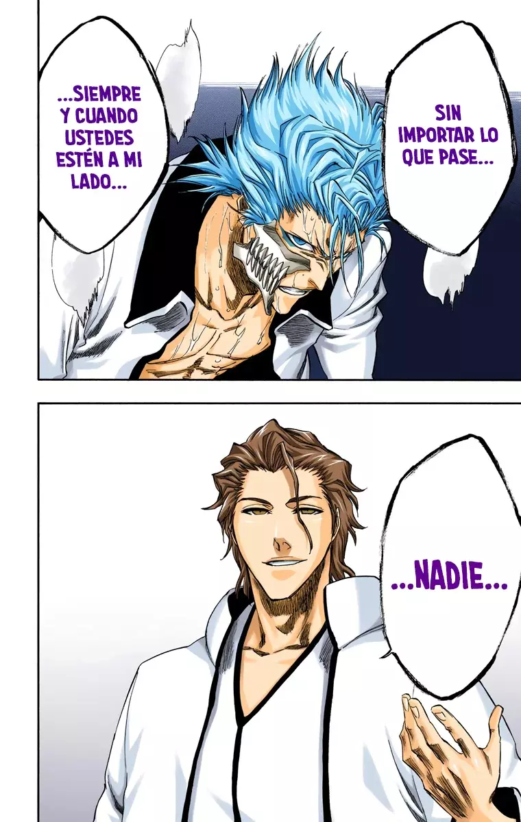 Bleach (Color) capítulo 245, página 12
