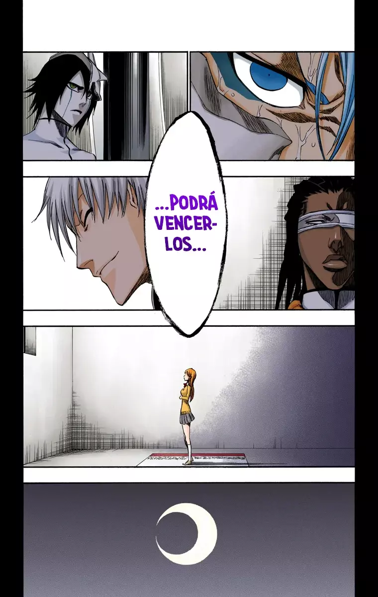 Bleach (Color) capítulo 245, página 13