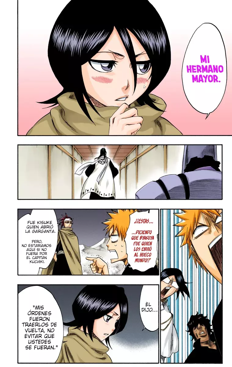 Bleach (Color) capítulo 247, página 13