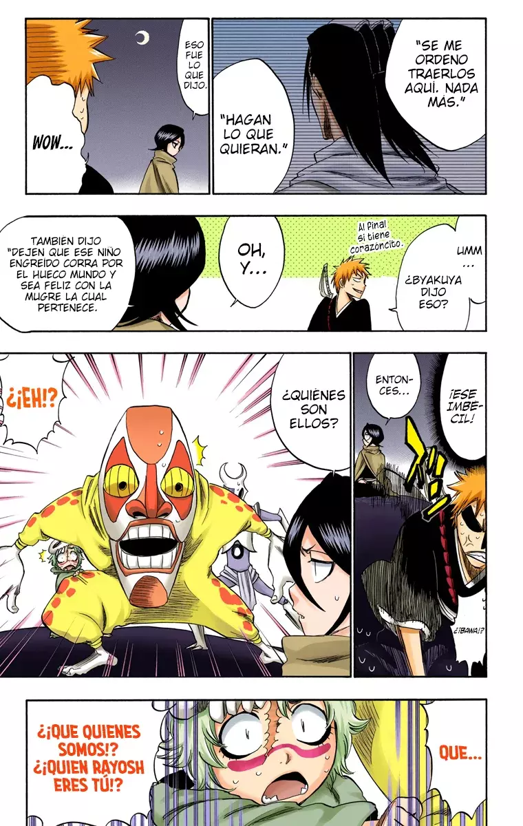 Bleach (Color) capítulo 247, página 14