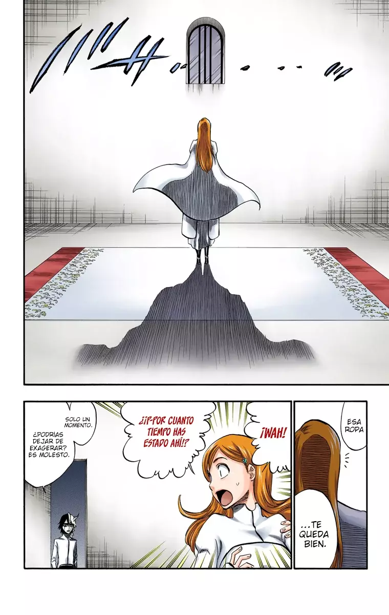 Bleach (Color) capítulo 247, página 17