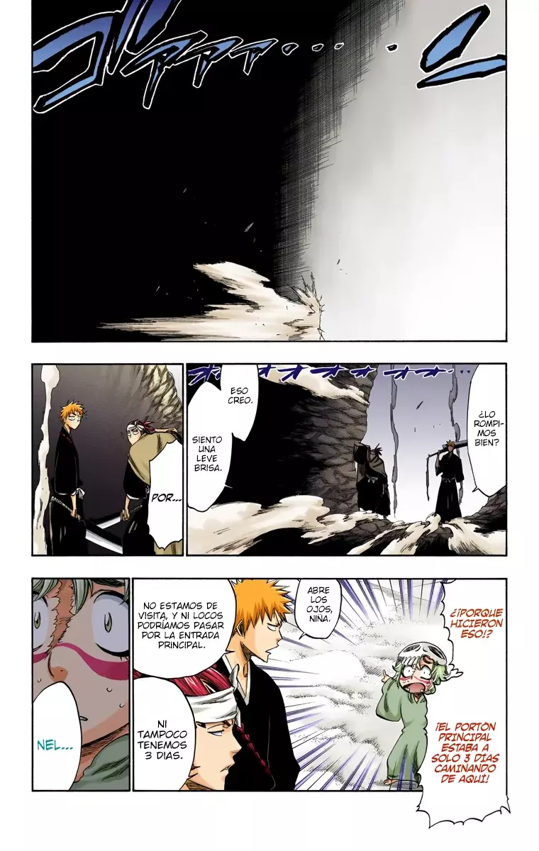 Bleach (Color) capítulo 248, página 6