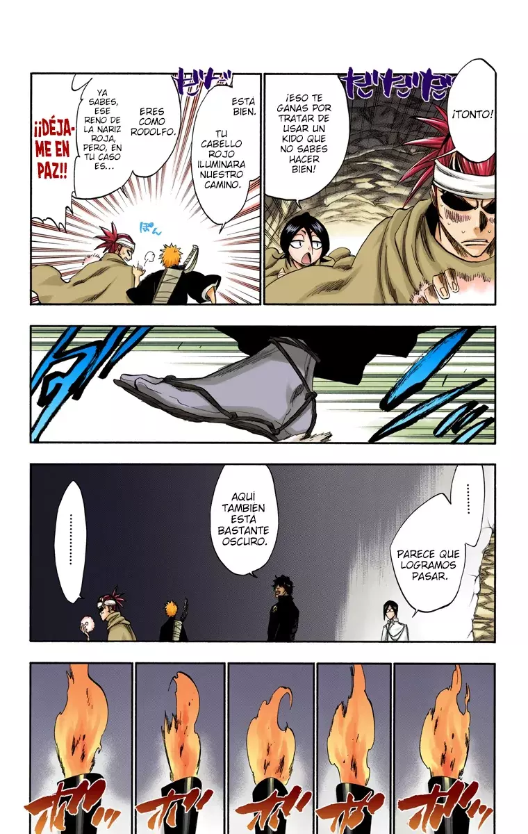 Bleach (Color) capítulo 248, página 10