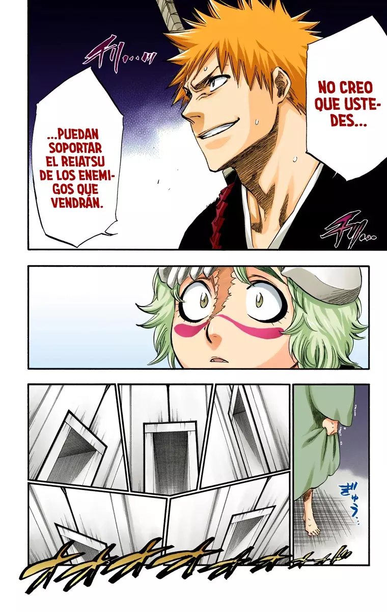 Bleach (Color) capítulo 248, página 12