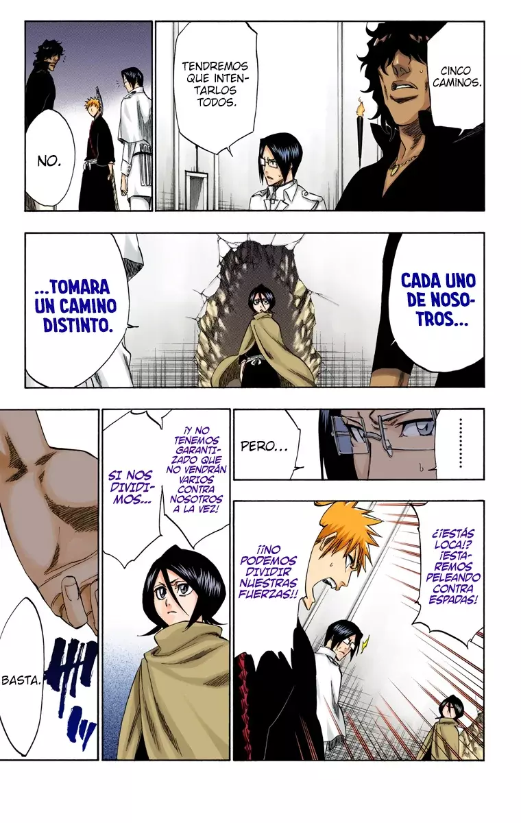 Bleach (Color) capítulo 248, página 13