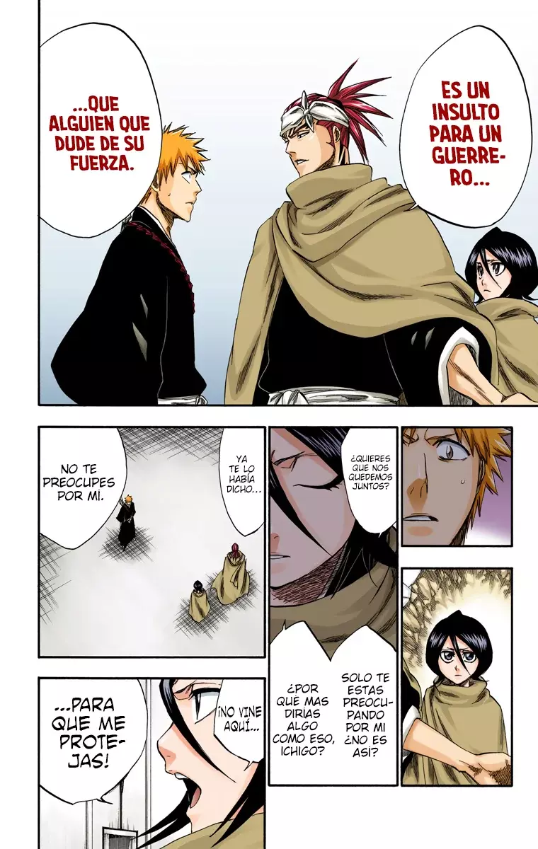 Bleach (Color) capítulo 248, página 14
