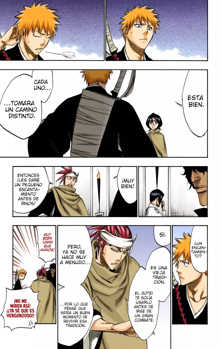 Bleach (Color) capítulo 248, página 15