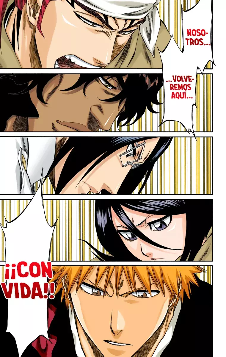 Bleach (Color) capítulo 248, página 17