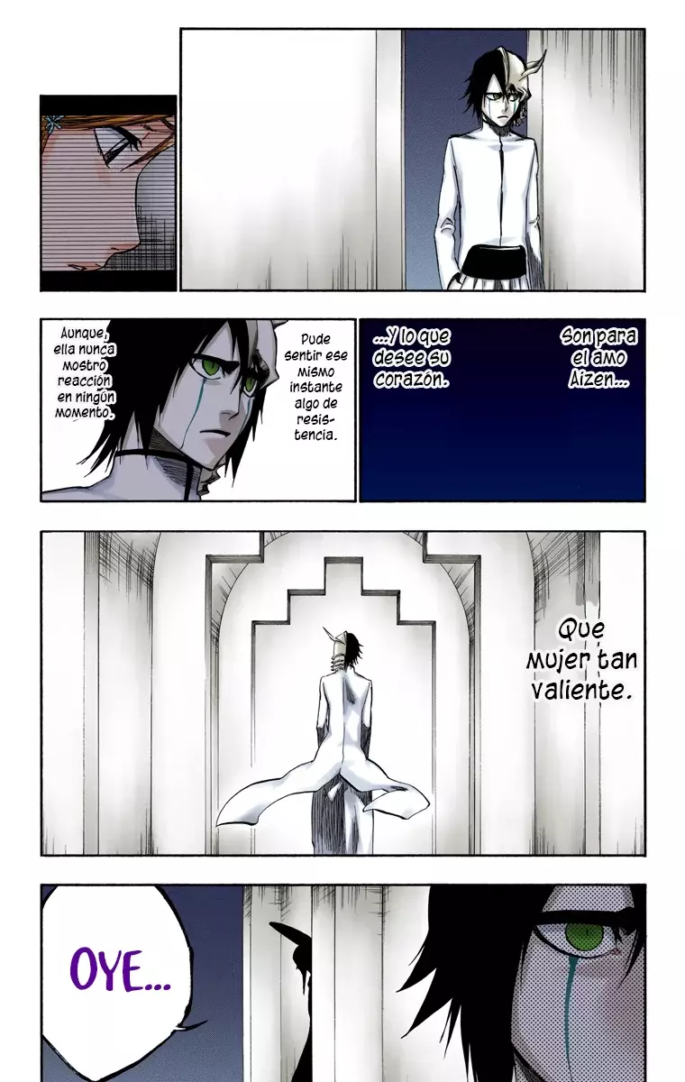 Bleach (Color) capítulo 249, página 6