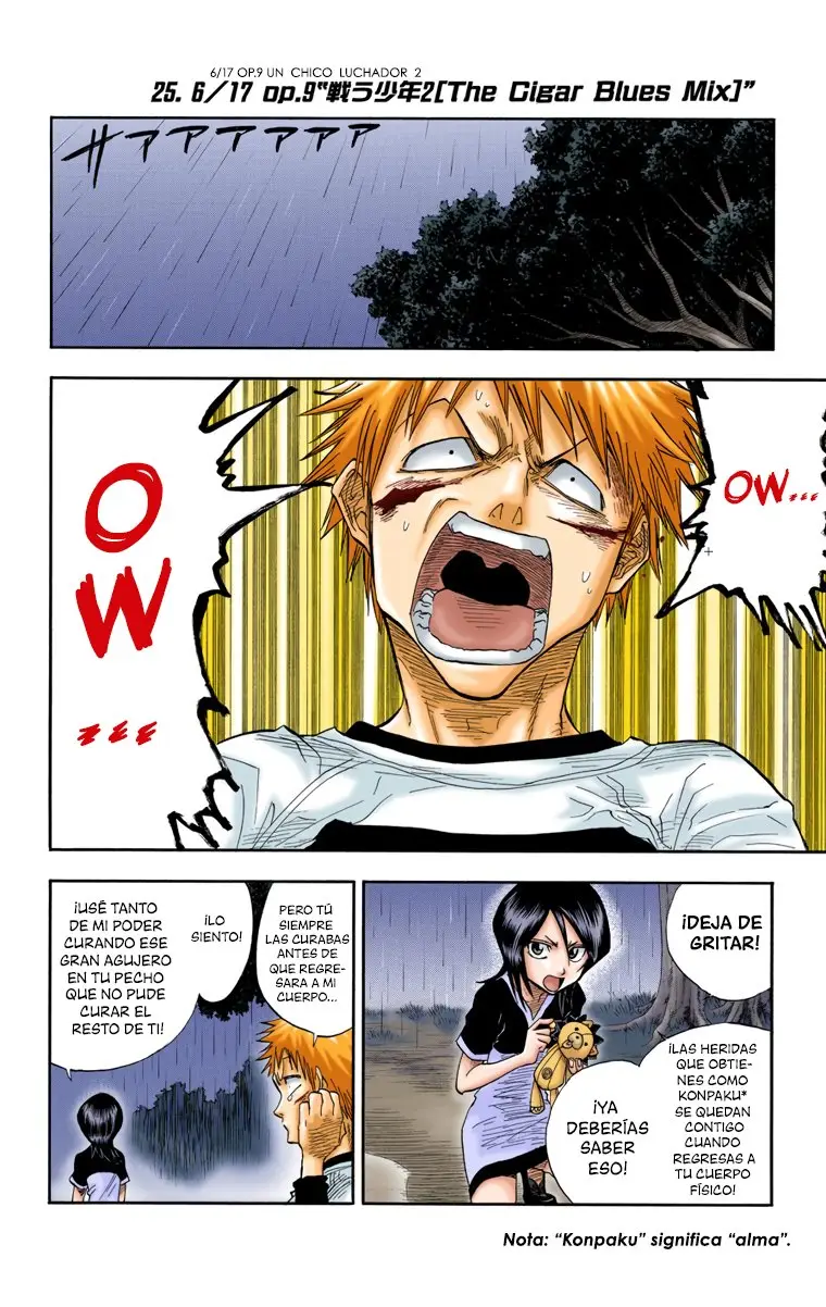 Bleach (Color) capítulo 25, página 2