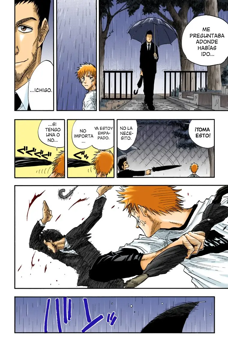 Bleach (Color) capítulo 25, página 8
