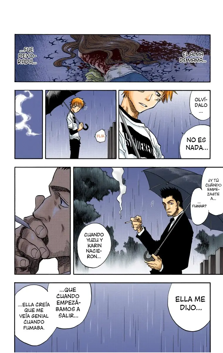 Bleach (Color) capítulo 25, página 10