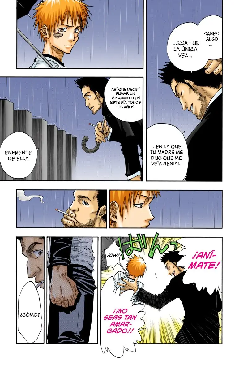 Bleach (Color) capítulo 25, página 11
