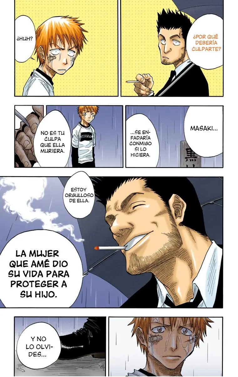 Bleach (Color) capítulo 25, página 13