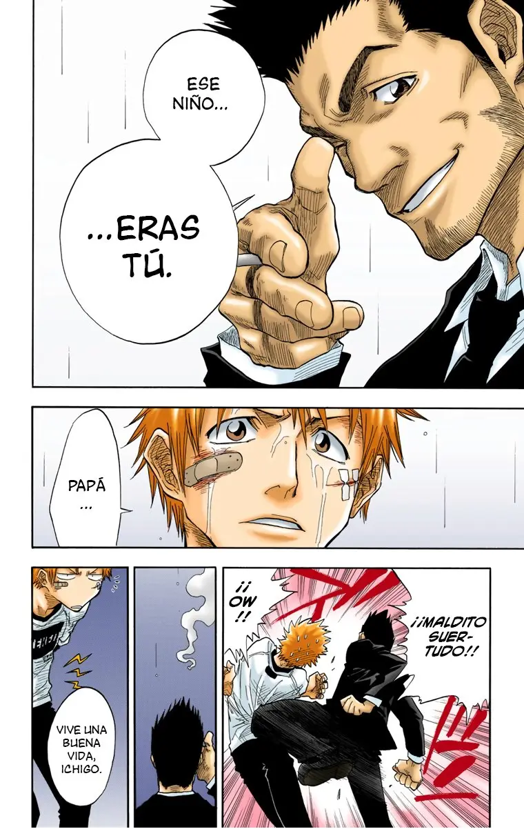 Bleach (Color) capítulo 25, página 14